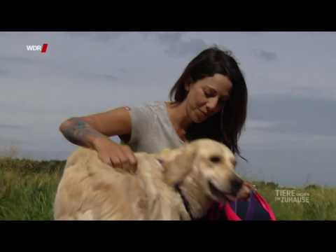 Die Schleppleine  geliebt und verhasst...