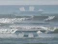 Surfing at the Reef, Costa Rica, Jan 4, 2009