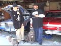 pitbull super bully show pt2 of 2