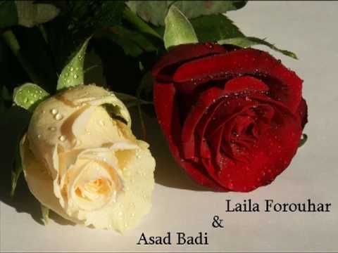 laila forouhar
