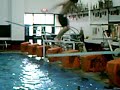 Gad Boyz jumps in pool Gad Boyz jumps in pool