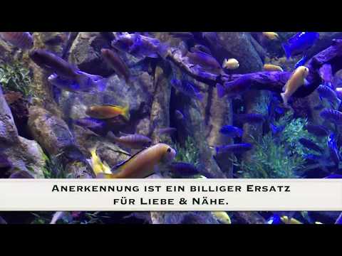 Anerkennung ist ein billiger Ersatz für Liebe & Nähe Anerkennung ist ein billiger Ersatz für Liebe & Nähe