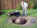 Tree Removal
