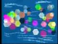 Ken Miller on Bacterial Flagellum