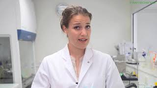 Túi dập mẫu RollBag