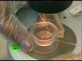 Robert Edwards wins 2010 Nobel Prize in medicine for IVF revolution