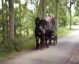 videos de Lits+Lauwers032 Skieppedrifte07