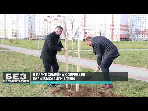 Без комментариев. 11.11.25.