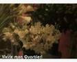 clip video INTERPRETES DIVERS Les jardins de Paris (M. Vaucaire - P. Gérard)