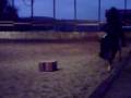 videos de saute 3 obstacle au galop (MOVAI)