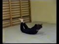 Marcin Dawidowicz sensei  Budokan Ju-Jitsu  Poland