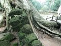 Храм Та Пром (Ta Prohm) - Ангкор / Камбоджа