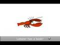 Lobster Magnet