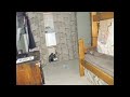 I wish cleaning my room was this easy!
