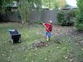 Raking Leaves