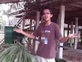 1 hari bersama saya di ladang boer