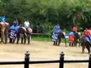 Samphran elephant park