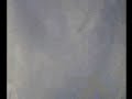 Thumbnail #3