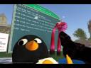 Nonprofit Commons: The Second Coming of Second Life