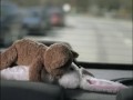 The reason you should put stuffed animals in your window