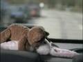 The reason you should put stuffed animals in your window