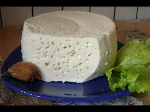 Приготовление сыра в домашних условиях козьего молока Приготовление сыра в домашних условиях козьего молока
