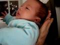 videos de Kiowa Holds Up His Head!!