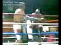 pelea toro vs simio parte 3.flv pelea toro vs simio parte 3.flv