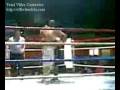 videos de pelea toro vs simio parte  3.flv
