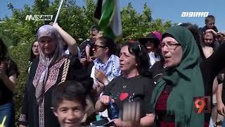 ولاد البلد: العودة إلى ميعار