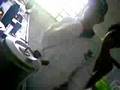 videos de Creu Da PiPok