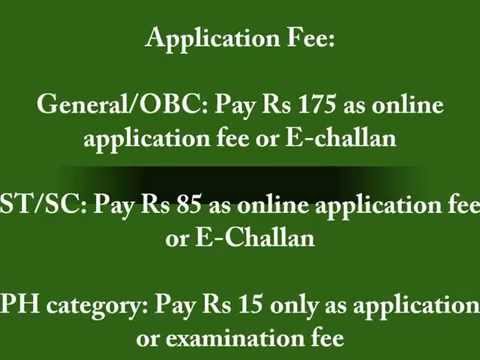 how to fill ctet form 2015