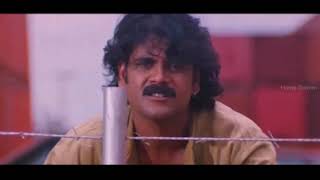 Ratchagan Tamil Movie Fight Scenes  Nagarjuna  Sus