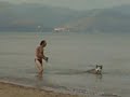 anche i cani disabili si divertono anche i cani disabili si divertono