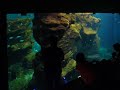 Mare Nostrum 1 Mare Nostrum 1
