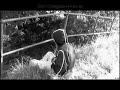 Warum? (Spiegelbild - Warum) auch auf Band-Video.de