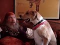 Talk Like a Pirate Day: \"Buddy Learns to Talk Like a Pirate\"