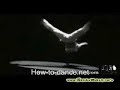 Bboy Nono Trailer