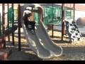 videos de Smorgasbord of Pain