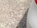 simalem nan indah.mp4