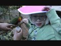 Short video fo Florida 09.wmv