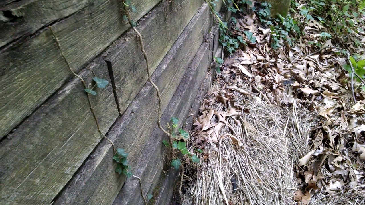 Retaining Wall falling in, Galloway Building Services