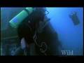 videos de Wild Chronicles: Aquarius