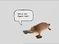 honda element commercial featuring a platypus.