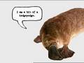 Honda Commercial (Platypus)