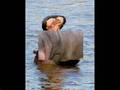 effervescing elephant by Syd Barrett of Pink Floyd