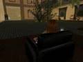 Second Life/Enamorada, Miranda!