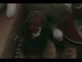 videos de Snowman Stories
