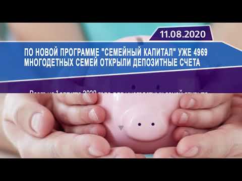 Новостная лента Телеканала Интекс 11.08.20.
