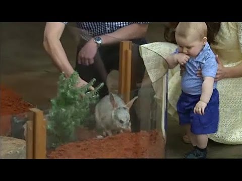 finally - Thousands crammed into Taronga Zoo today to catch a glimpse of a rarely cute occasion, Prince George and his parents meeting George the bilby. Prince George ...
